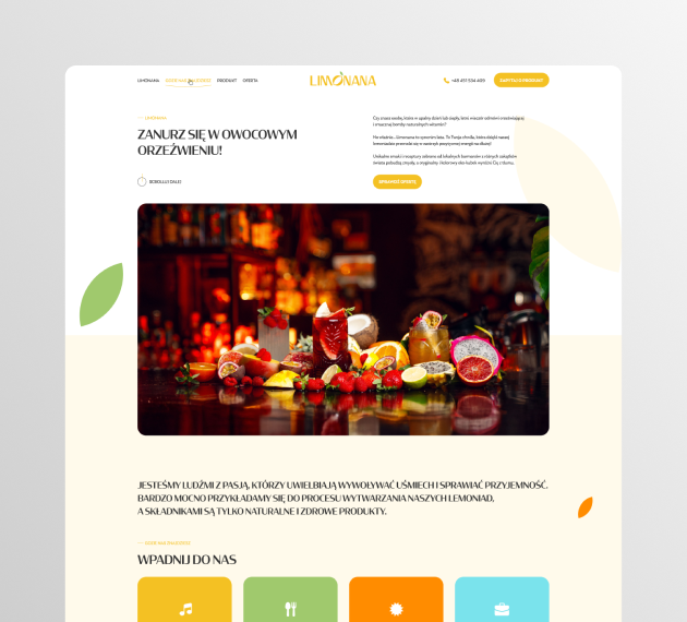 LIMONANA-PORTOFLIO04