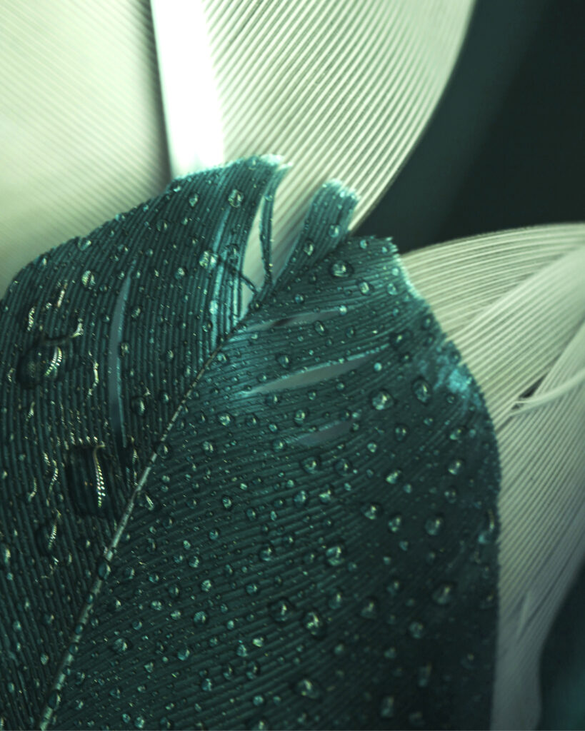 marta-kresinska-og-image